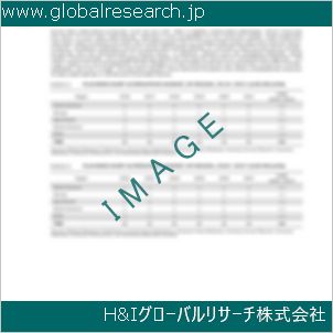 グローバルリサーチ調査資料のイメージ